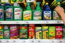 Απόφαση δικαστηρίου: To Roundup της Monsanto υπεύθυνο για τον καρκίνο άνδρα από την Καλιφόρνια