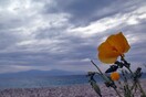Άστατος ο καιρός με βροχές και ισχυρές καταιγίδες