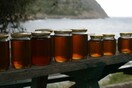 Εντατικοί έλεγχοι από τον ΕΦΕΤ για νοθευμένο μέλι στην αγορά - Τι πρέπει να προσέχουν οι καταναλωτές