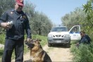 Αίσιο τέλος για τον 20χρονο φοιτητή που εξαφανίστηκε στην Κρήτη - Βρέθηκε μετά από 51 ώρες