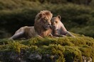 Νέο trailer για το «The Lion King» με το «Can You Feel the Love Tonight?»