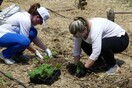 Responsib’ALL Day 2019: Περιβαλλοντική Δράση για τους εργαζόμενους της Pernod Ricard Hellas