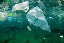 Οι Ιταλοί ψαράδες ανακυκλώνουν τα πλαστικά που πιάνουν αντί να τα επιστρέψουν στη θάλασσα