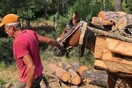 Έλυσαν άλογα και μουλάρια που βοηθάνε στο Σέιχ Σου - Μεγάλο πρόβλημα στο δάσος