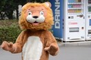 Τι θα κάνουν αν δραπετεύσει το λιοντάρι - Η άσκηση ετοιμότητας σε ζωολογικό κήπο που έγινε viral