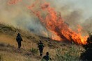 Με φιδάκι και σπίρτα ήθελαν να βάλουν φωτιές σε περιοχή της Στερεάς