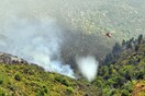Πυρκαγιά στα Καλάβρυτα: Μεγάλη κινητοποίηση της Πυροσβεστικής