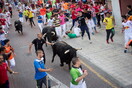 Ισπανία: Ημίγυμνοι ακτιβιστές διαμαρτύρονται για τις ταυροδρομίες στην Παμπλόνα