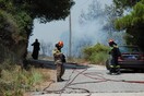 Υπό έλεγχο η πυρκαγιά στην Κέρκυρα - Η φωτιά έφτασε μέχρι τις αυλές των σπιτιών