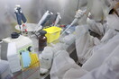 Κορωνοϊός: Μετοχή φαρμακευτικής «εκτοξεύτηκε» κατά 552% - Αναπτύσσει πειραματικό φάρμακο