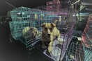 Καμπότζη: Επαρχία απαγόρευσε την πώληση και κατανάλωση κρέατος σκύλου - Η πρώτη στη χώρα
