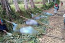 Φρίκη στην Παπούα Νέα Γουινέα: Τουλάχιστον 15 γυναίκες και παιδιά σφαγιάστηκαν σε φυλετικές συγκρούσεις