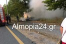 Τραγωδία στην Πέλλα: Επτάχρονη σκοτώθηκε σε τροχαίο