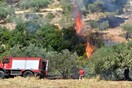 Στις 36 οι πυρκαγιές από χθες το απόγευμα - Σε ύφεση η φωτιά στην Φωκίδα