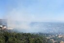 Πυρκαγιά στη Χίο - Μεγάλη επιχείρηση της πυροσβεστικής