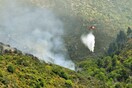 Πυροσβεστική: 55 πυρκαγιές τις τελευταίες 24 ώρες
