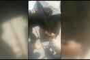 Κρήτη: Πέταξαν σκύλο σε φουρτουνιασμένη θάλασσα - Πώς τον έσωσαν