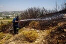 Συνελήφθη η 72χρονη που είχε προσαχθεί για την πυρκαγιά στα Σπάτα - Πώς ξεκίνησε η φωτιά