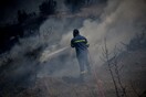 Τρία μέτωπα πυρκαγιάς στην Εύβοια - Σε συναγερμό η Πυροσβεστική