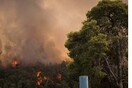 Ζάκυνθος: Φωτιά σε δασική έκταση - Κινητοποίηση της πυροσβεστικής