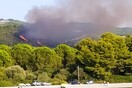 Φωτιά στην Εύβοια - Κοντά σε σπίτια