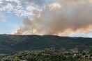 Αγρίνιο: Μεγάλη φωτιά σε δασική έκταση