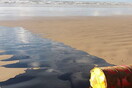 Βραζιλία: Έρευνα για πετρελαιοκηλίδες σε εκατοντάδες παραλίες - Νεκρές θαλάσσιες χελώνες