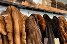 Η Καλιφόρνια μόλις απαγόρευσε με νόμο τις πωλήσεις γούνας - Η πρώτη πολιτεία στις ΗΠΑ