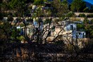 Μαυρισμένη γη σε Ζάκυνθο και Λουτράκι: Χιλιάδες στρέμματα έγιναν στάχτη - Τι κατέγραψε δορυφόρος