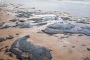 Βραζιλία: Άλυτο μυστήριο με τις πετρελαιοκηλίδες στις βορειοανατολικές ακτές