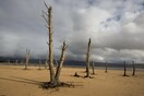 ΟΗΕ: 45 εκατομμύρια άνθρωποι κινδυνεύουν από την ξηρασία στη Νότια Αφρική