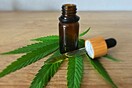 Τι είναι το CBD oil και γιατί κυριαρχεί στη βιομηχανία της ομορφιάς;