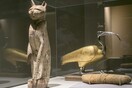 Αίγυπτος: Επιστήμονες «ξετύλιξαν» τις μούμιες τριών ζώων ηλικίας 2.000 ετών με 3D σαρώσεις - Εντυπωσιακό βίντεο