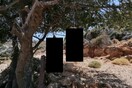 Κρήτη: Αυτοκινητοπομπή για τα κουτάβια που βρέθηκαν κρεμασμένα σε δέντρο [ΣΚΛΗΡΕΣ ΕΙΚΟΝΕΣ]