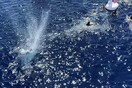 Ακτοφυλακή άνοιξε πυρ εναντίον καρχαρία ενώ το πλήρωμα κολυμπούσε στη θάλασσα