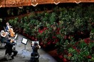 Μια συναυλία στη Βαρκελώνη με θεατές... 2.292 φυτά