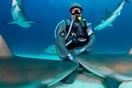Cristina Zenato: Αποκλειστική συνέντευξη με τη διεθνούς φήμης δύτρια που έκανε τους καρχαρίες οικογένειά της