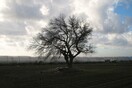 Επιστολή παραίτησης από τη Δημοκρατική Συμμαχία (από οκτώ στελέχη της).