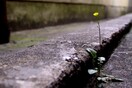 ΔΝΤ: Ανάπτυξη για την Ελλάδα το 2014