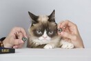 To Μαντάμ Τισό αποφάσισε πως η Grumpy Cat θα γίνει το πρώτο ομοίωμα γάτας στη συλλογή του