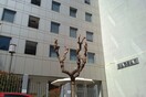 Στα δικαστήρια προσφεύγουν οι δημοσιογράφοι για το «κούρεμα»