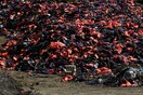 Το δράμα των προσφύγων αποτυπώνεται στις σοκαριστικές εικόνες από τη χωματερή της Λέσβου