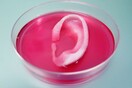 'Βιολογικός' 3D Printer εκτυπώνει μέρη του ανθρώπινου σώματος