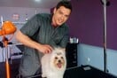 Pet grooming