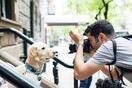 The Dogist: ο Sartorialist των σκύλων― και το εκπληκτικό του instagram