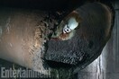 Pennywise: O πιο τρομαχτικός κλόουν του σινεμά επιστρέφει