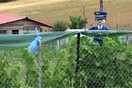 Ο τρόμος του κόρακα. Του Βασίλη Οικονόμου.