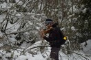 Βιολιστής στη Φύση: Ο Μάριος Δαδούδης πηγαίνει στα πιο όμορφα μέρη της Ελλάδας - και παίζει βιολί