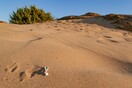 Η μαγευτική «έρημος» της Κέρκυρας μέσα από 18 φωτογραφίες