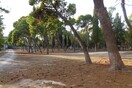 Κτήμα Φιξ: Ένας χώρος Πρασίνου σε σήψη